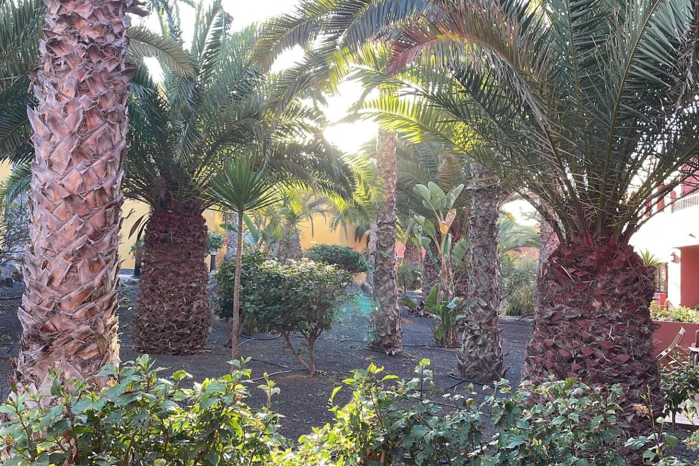 Sun & Sea Apartment In Corralejo Luaran gambar